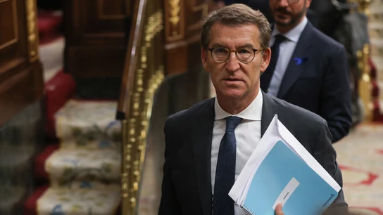 Alberto Núñez Feijóo en el Congreso Alberto Núñez Feijóo en el Congreso