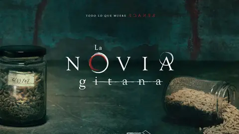 'La novia gitana' se basa en la novela homónima de Carmen Mola 'La novia gitana' se basa en la novela homónima de Carmen Mola