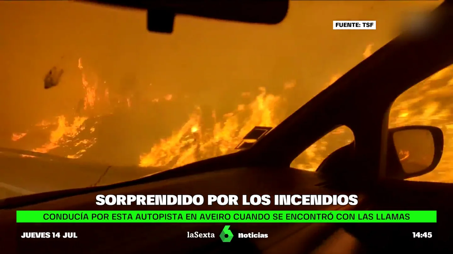 periodista llamas periodista llamas