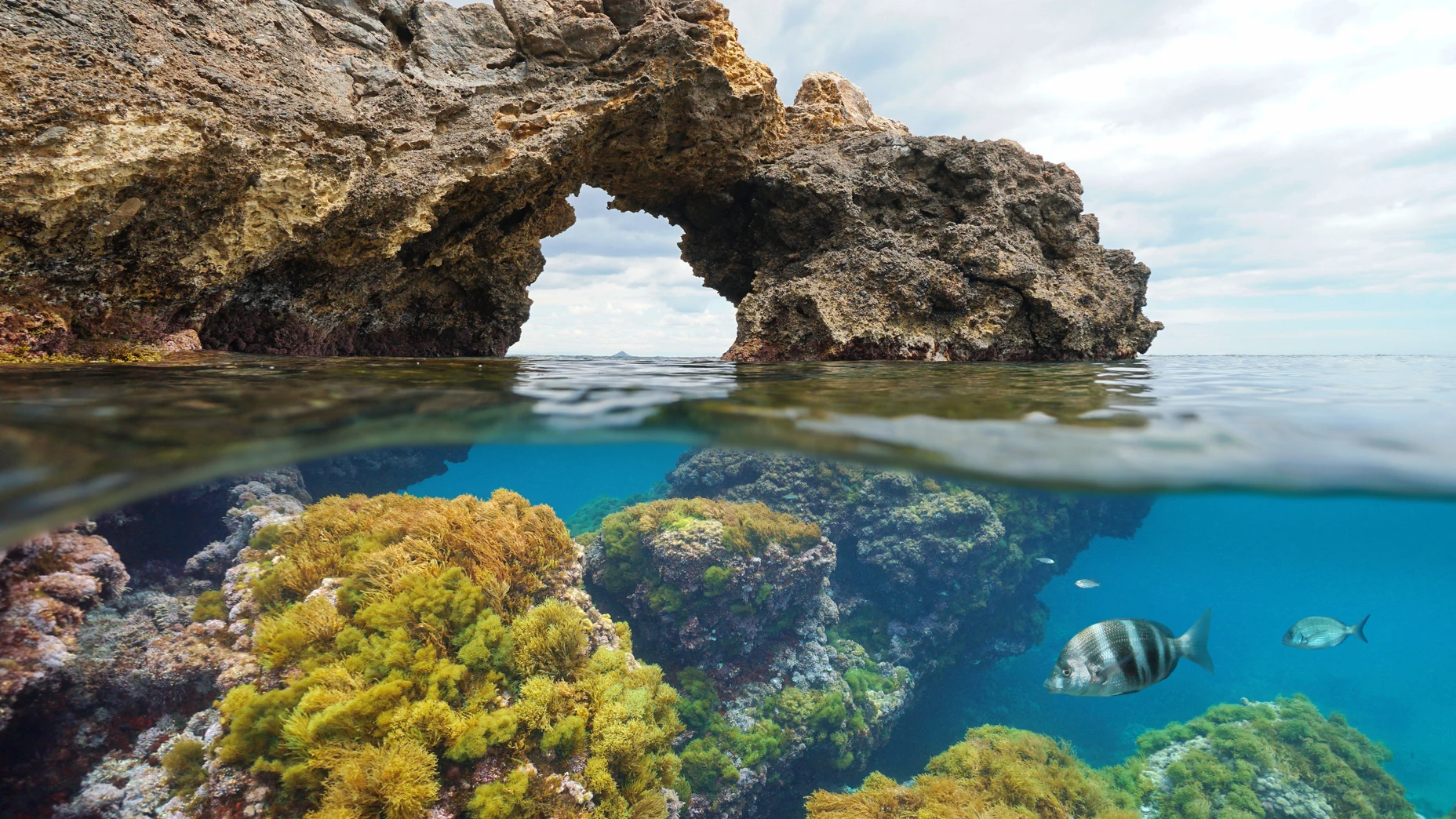 Arco de la Picadera, reserva natural de Cabo Tiñoso en Murcia
