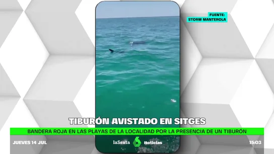 tiburon tiburon