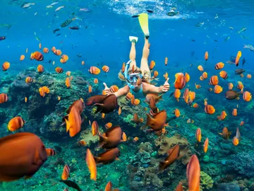 Chica haciendo snorkel Chica haciendo snorkel