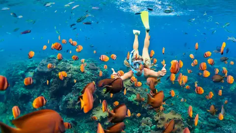 Chica haciendo snorkel Chica haciendo snorkel
