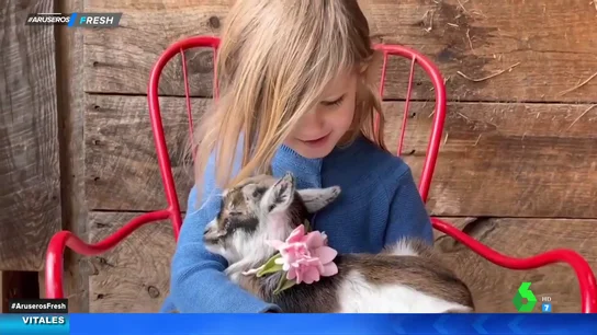 Niña cabra Niña cabra