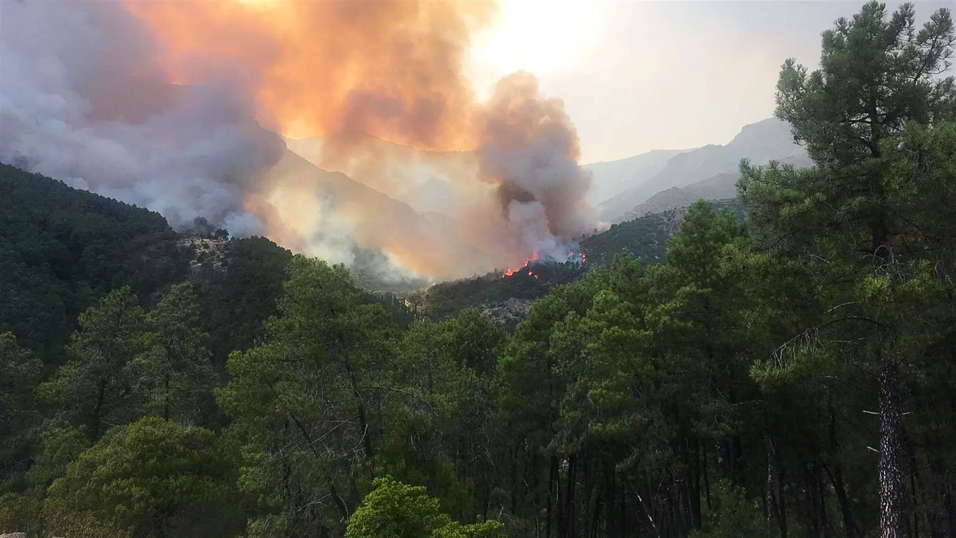 Incendio del valle de Las Batuecas dentro de la provincia de Salamanca.