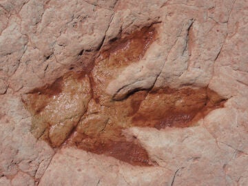 Imagen de archivo huella de dinosaurio