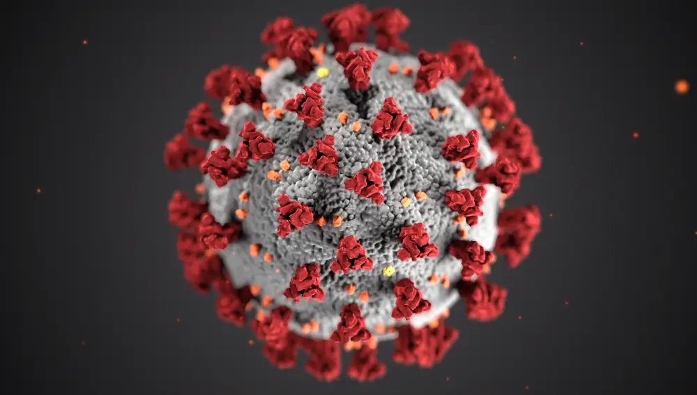 Coronavirus Coronavirus