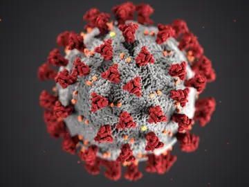 Coronavirus Coronavirus