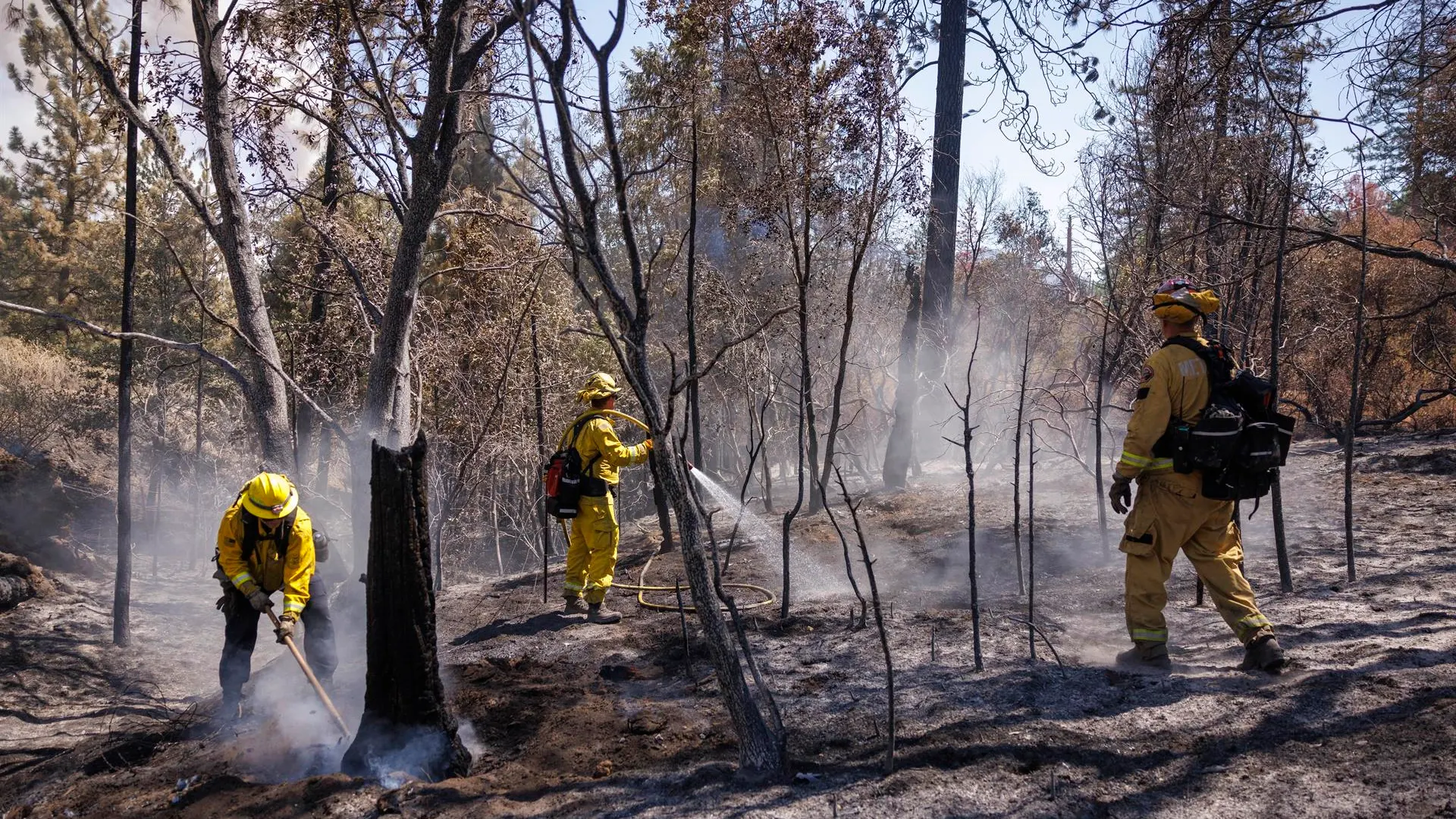 Vista de bomberos tratando de contener un incendio.