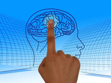 cerebro cerebro