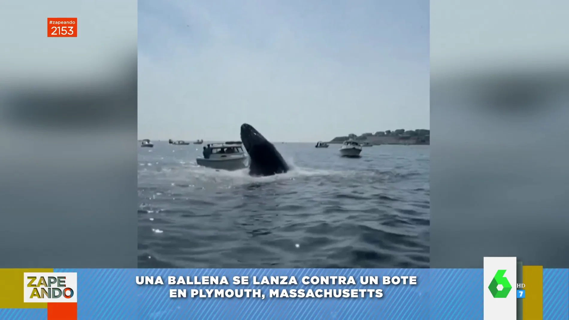 Una ballena salta sobre un barco