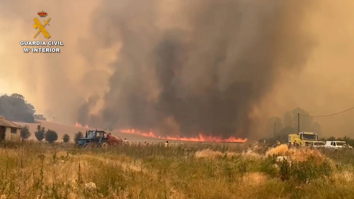 Detienen al conductor de una cosechadora como presunto autor del incendio forestal de Burgos Detienen al conductor de una cosechadora como presunto autor del incendio forestal de Burgos