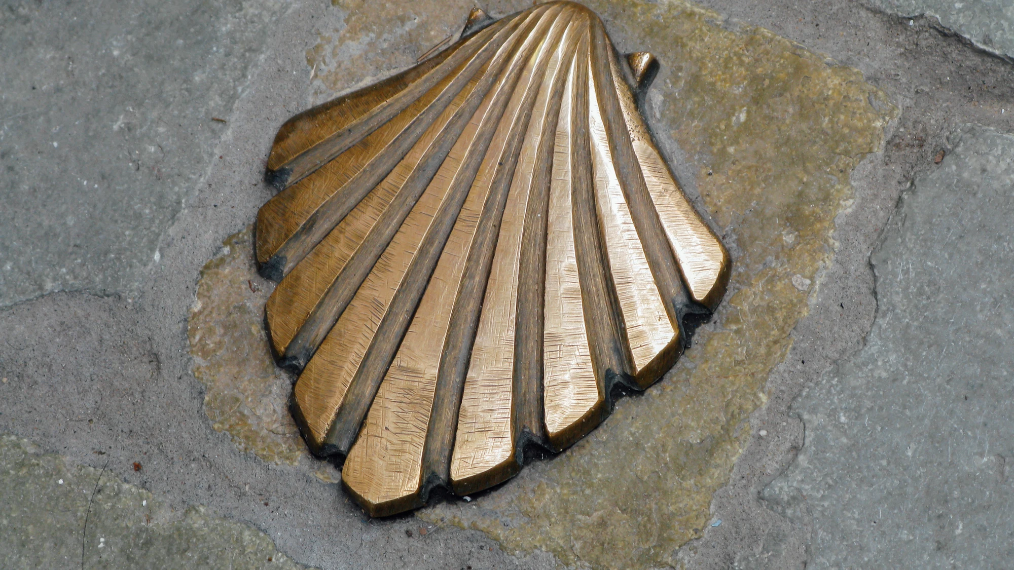Concha del Camino de Santiago