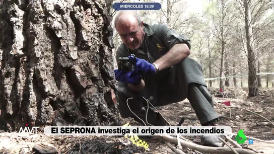 Así averigua el SEPRONA la causa de cada incendio Así averigua el SEPRONA la causa de cada incendio