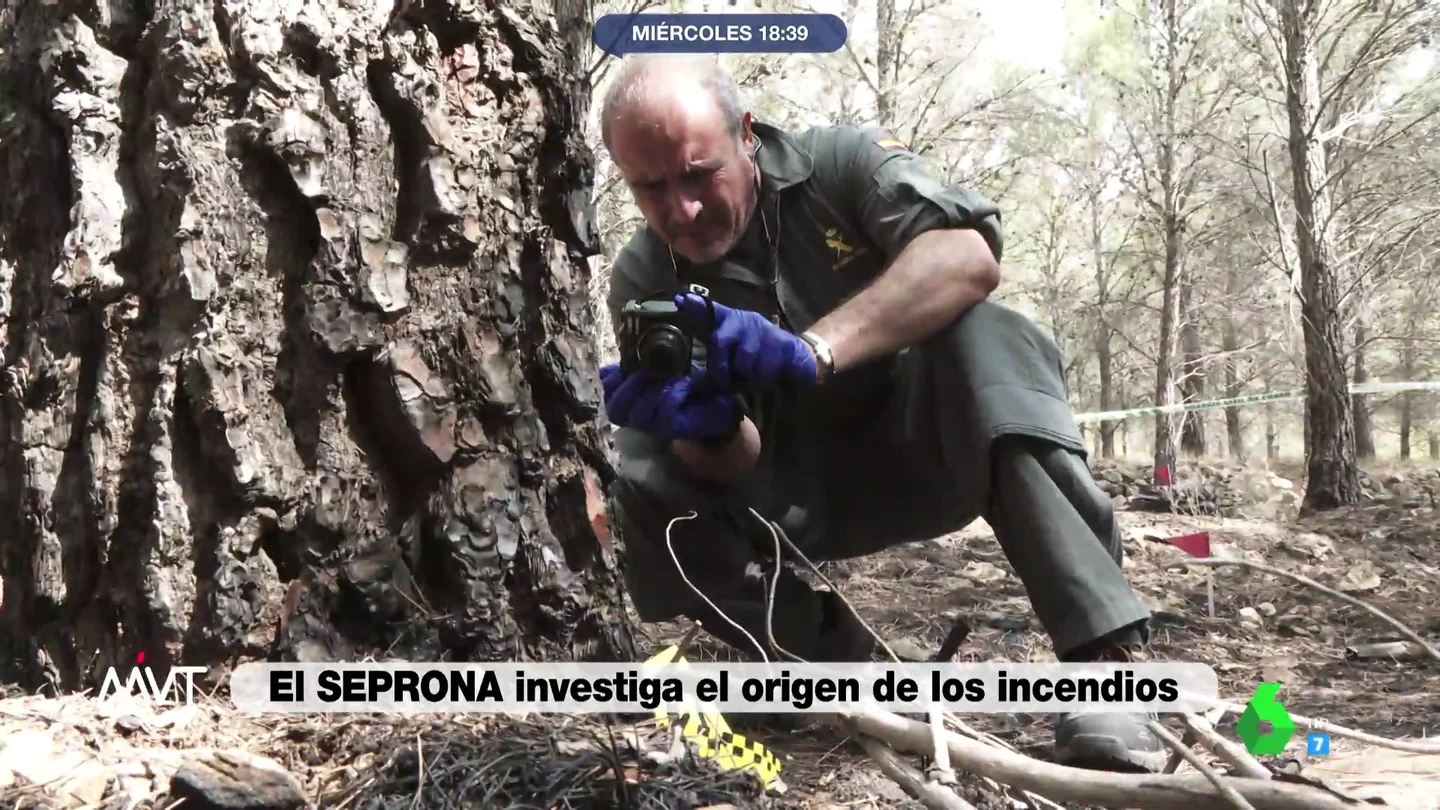 Así averigua el SEPRONA la causa de cada incendio Así averigua el SEPRONA la causa de cada incendio