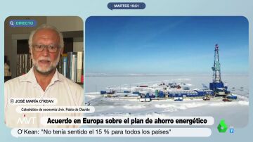 José María O'Kean explica cómo podría afectarnos el recorte del consumo de gas al que nos obligará Europa este invierno