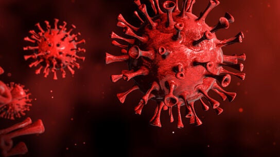 Un estudio revela nuevos s&iacute;ntomas asociados al COVID persistente: son estos 