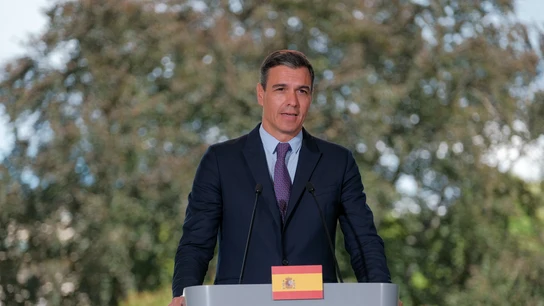 El presidente del Gobierno, Pedro Sánchez El presidente del Gobierno, Pedro Sánchez