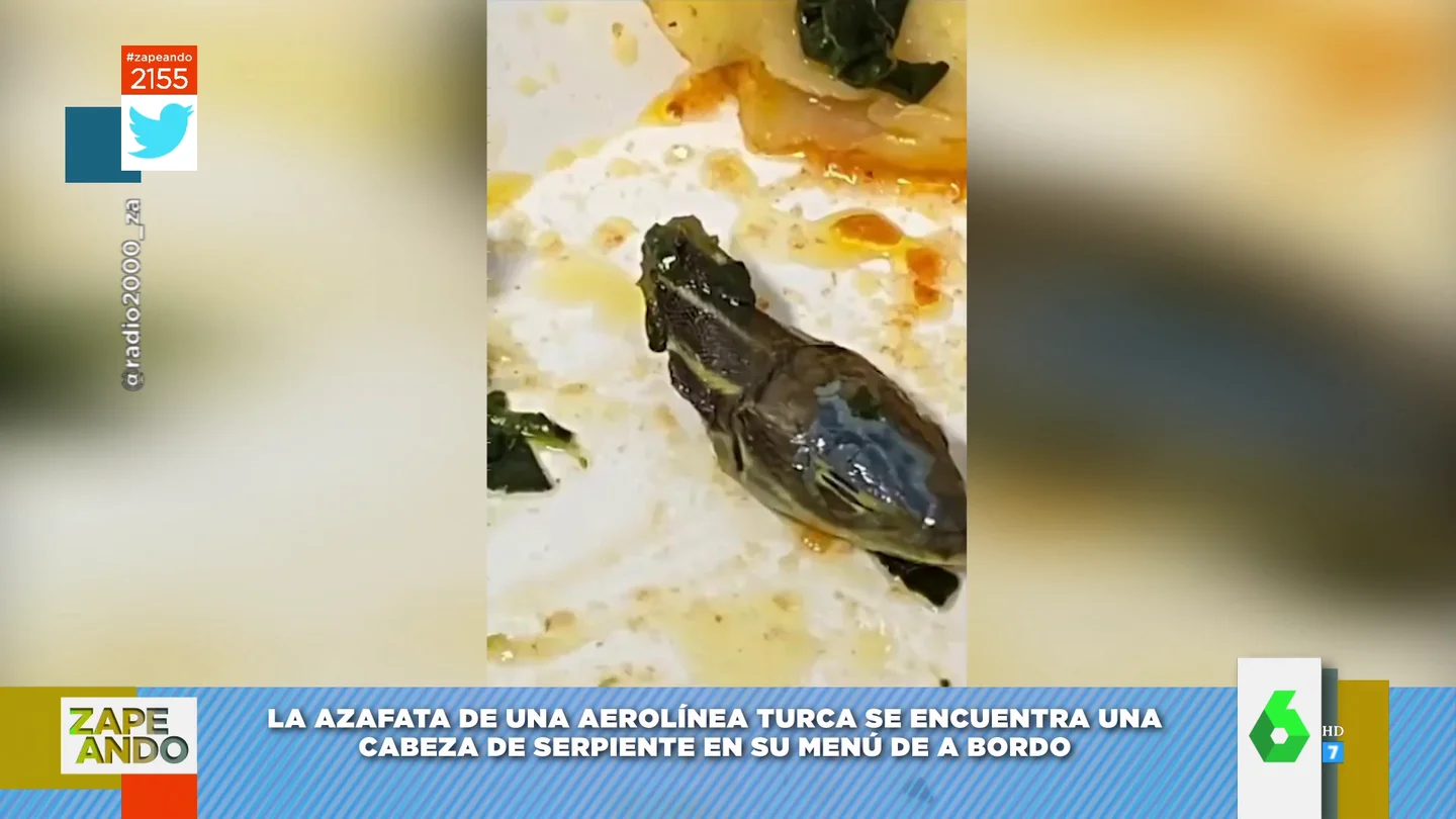 Una azafata se encuentra una cabeza de serpiente en su comida Una azafata se encuentra una cabeza de serpiente en su comida