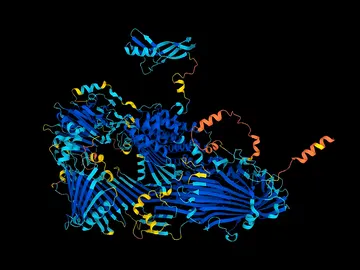 La estructura de la proteína vitelogenina predicha por la herramienta AlphaFold La estructura de la proteína vitelogenina predicha por la herramienta AlphaFold