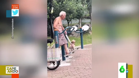Un abuelo 'columpia' a sus perros en el parque Un abuelo 'columpia' a sus perros en el parque