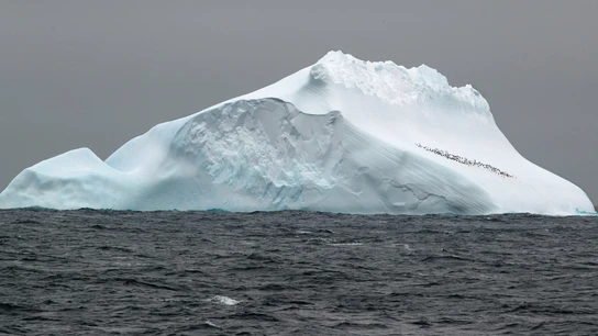 Iceberg en la Antártida. Foto de archivo  Iceberg en la Antártida. Foto de archivo