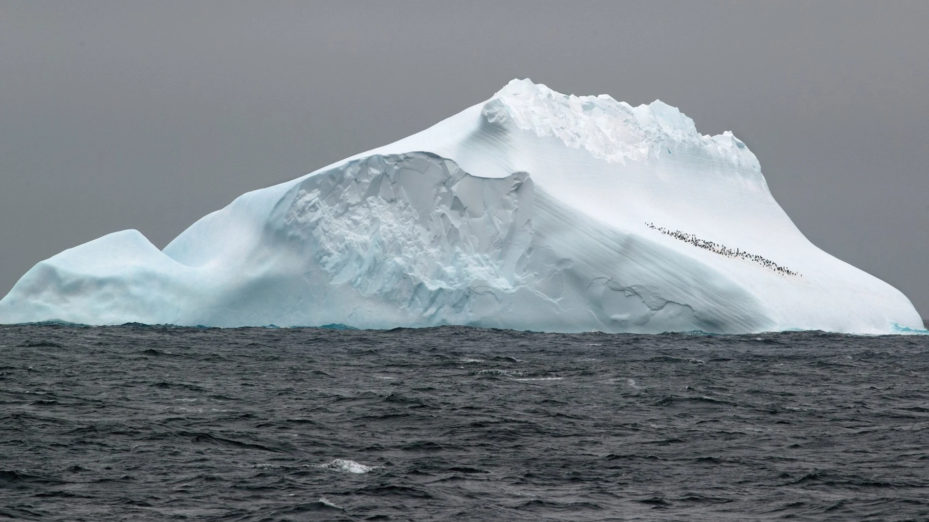 Iceberg en la Antártida. Foto de archivo 