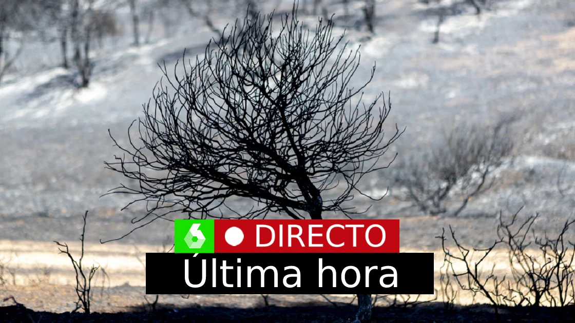 Incendios forestales, última hora: sigue la lucha contra las llamas en España, directo Incendios forestales, última hora: sigue la lucha contra las llamas en España, directo
