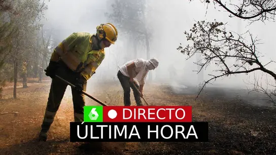 Incendios en España, en directo: el incendio de Villanueva de la Vera ya ha calcinado 250 hectáreas Incendios en España, en directo: el incendio de Villanueva de la Vera ya ha calcinado 250 hectáreas
