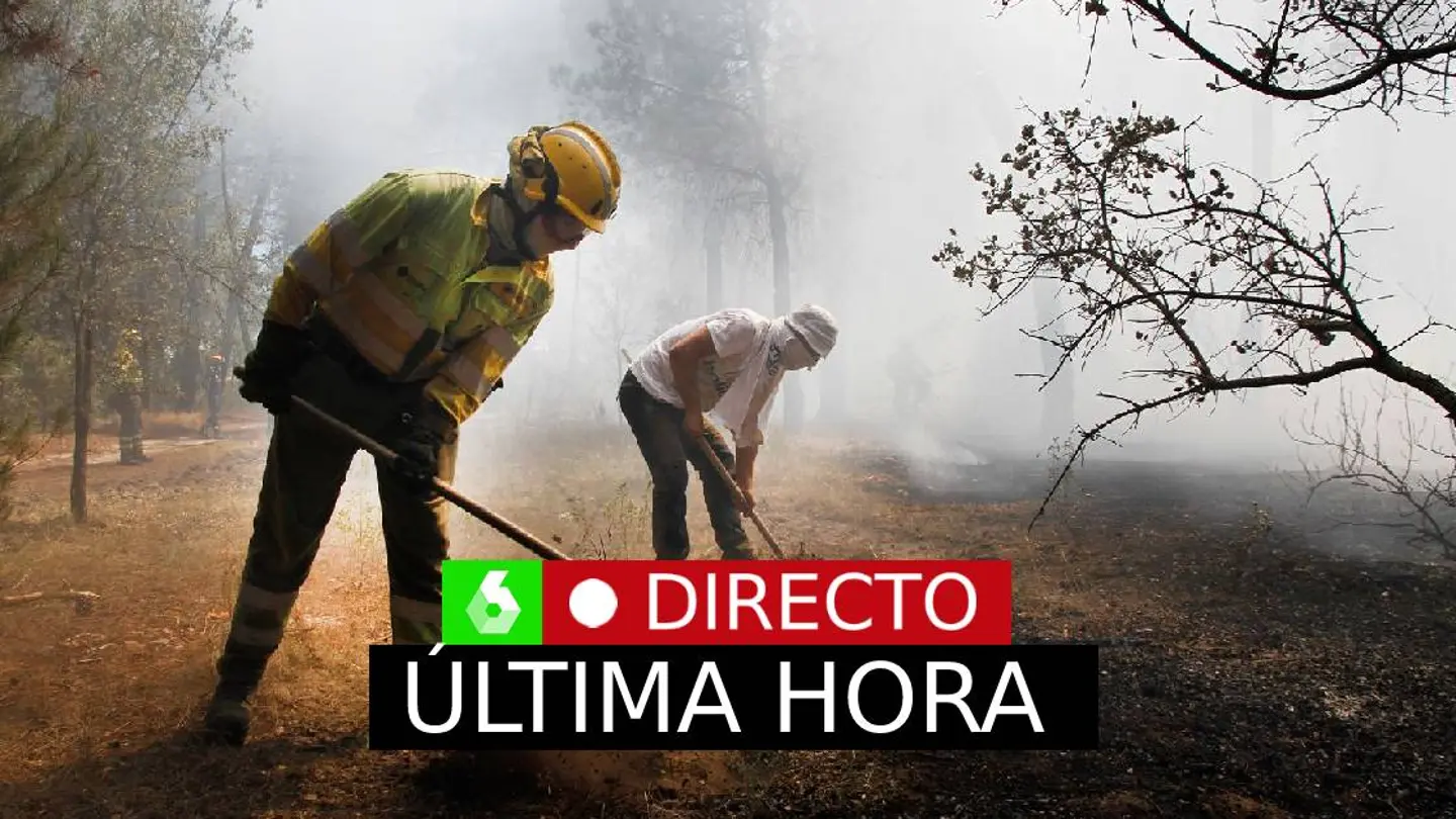 Incendios en España, en directo: el incendio de Villanueva de la Vera ya ha calcinado 250 hectáreas Incendios en España, en directo: el incendio de Villanueva de la Vera ya ha calcinado 250 hectáreas