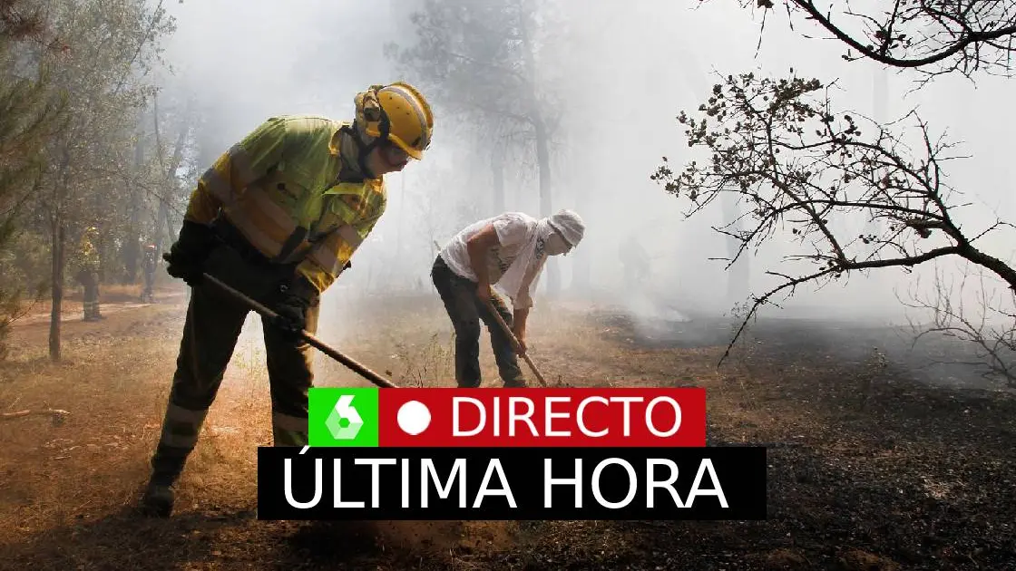 Incendios en España, en directo: el incendio de Villanueva de la Vera ya ha calcinado 250 hectáreas 