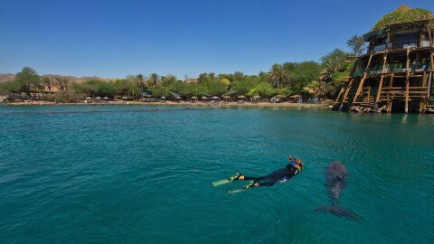 Refugio de delfines en Eilat. Israel