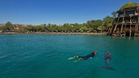 Refugio de delfines en Eilat. Israel Refugio de delfines en Eilat. Israel