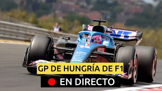 Fernando Alonso Fernando Alonso