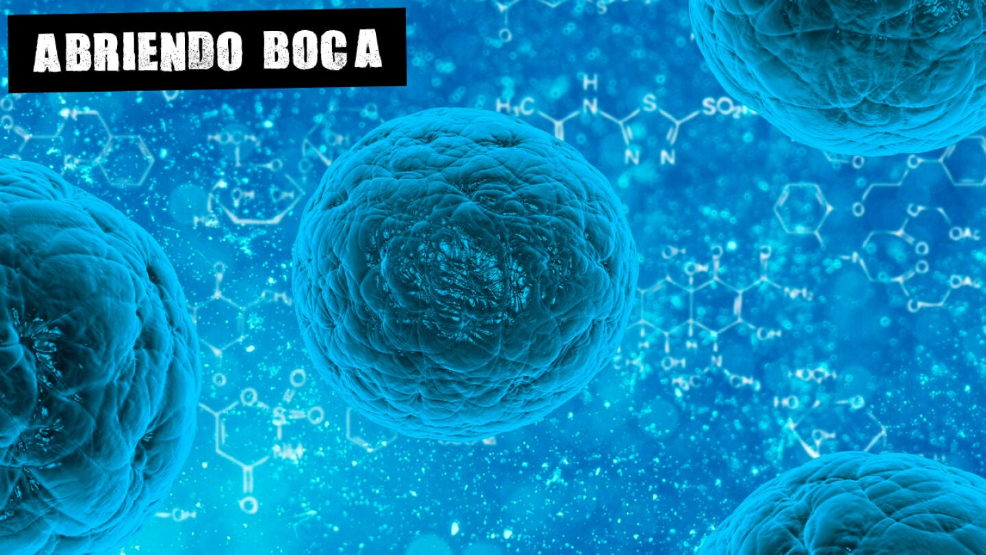 &iquest;Qu&eacute; esl norovirus que ha causado el brote en Moj&aacute;car?