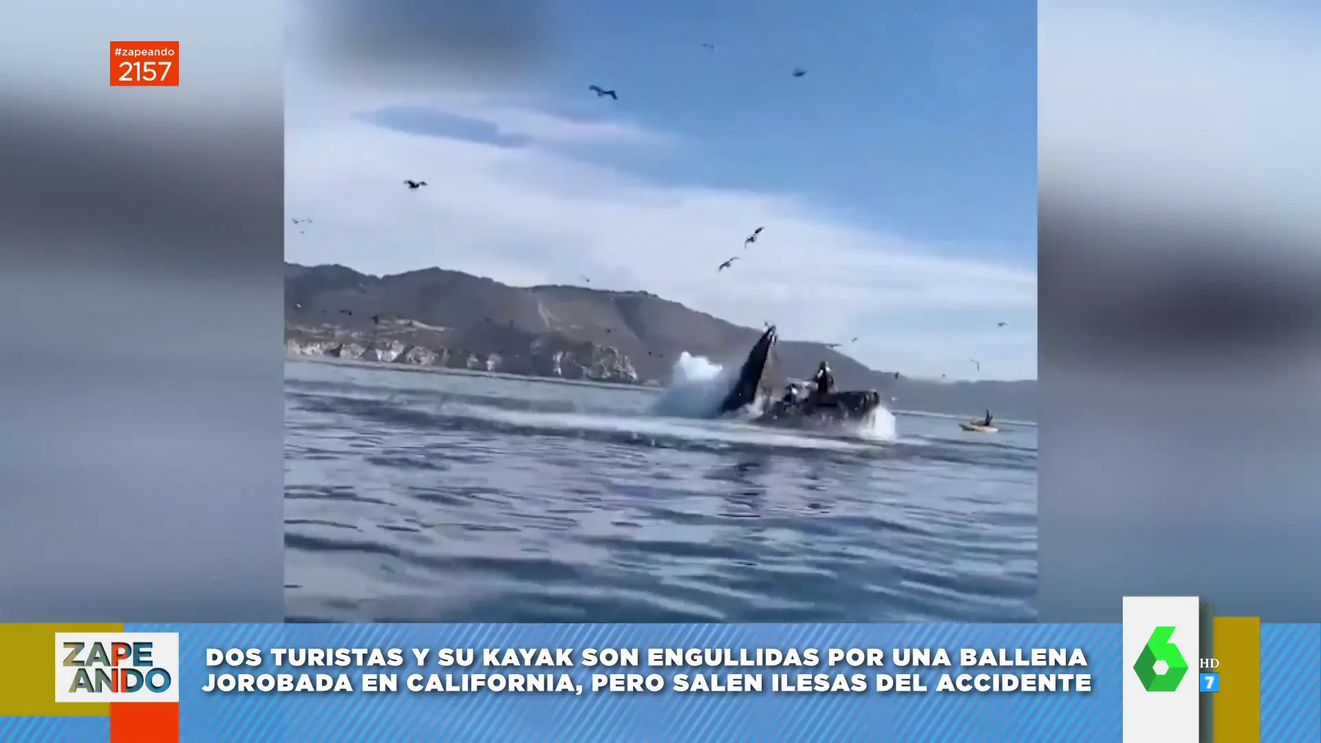 Ballena