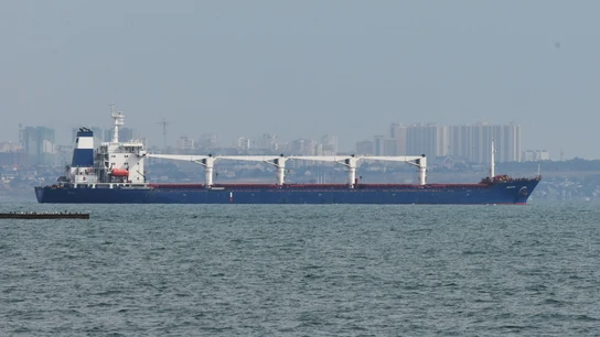 Razoni, el primer barco que llevó cereal de Ucrania desde el inicio de la guerra Razoni, el primer barco que llevó cereal de Ucrania desde el inicio de la guerra