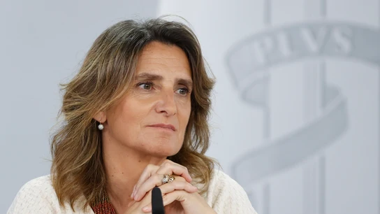 Teresa Ribera, en la rueda de prensa tras el Consejo de Ministros Teresa Ribera, en la rueda de prensa tras el Consejo de Ministros