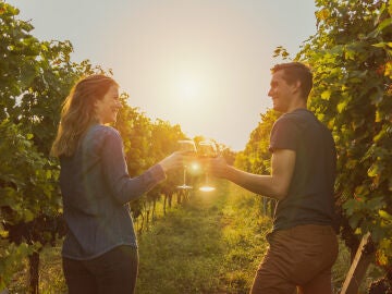 Dos personas tomando vino en una viña