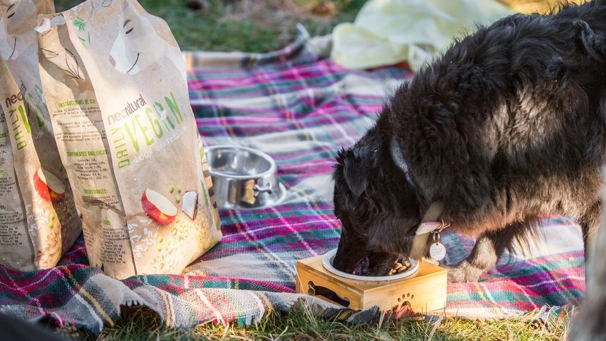 Un perro come en un campo