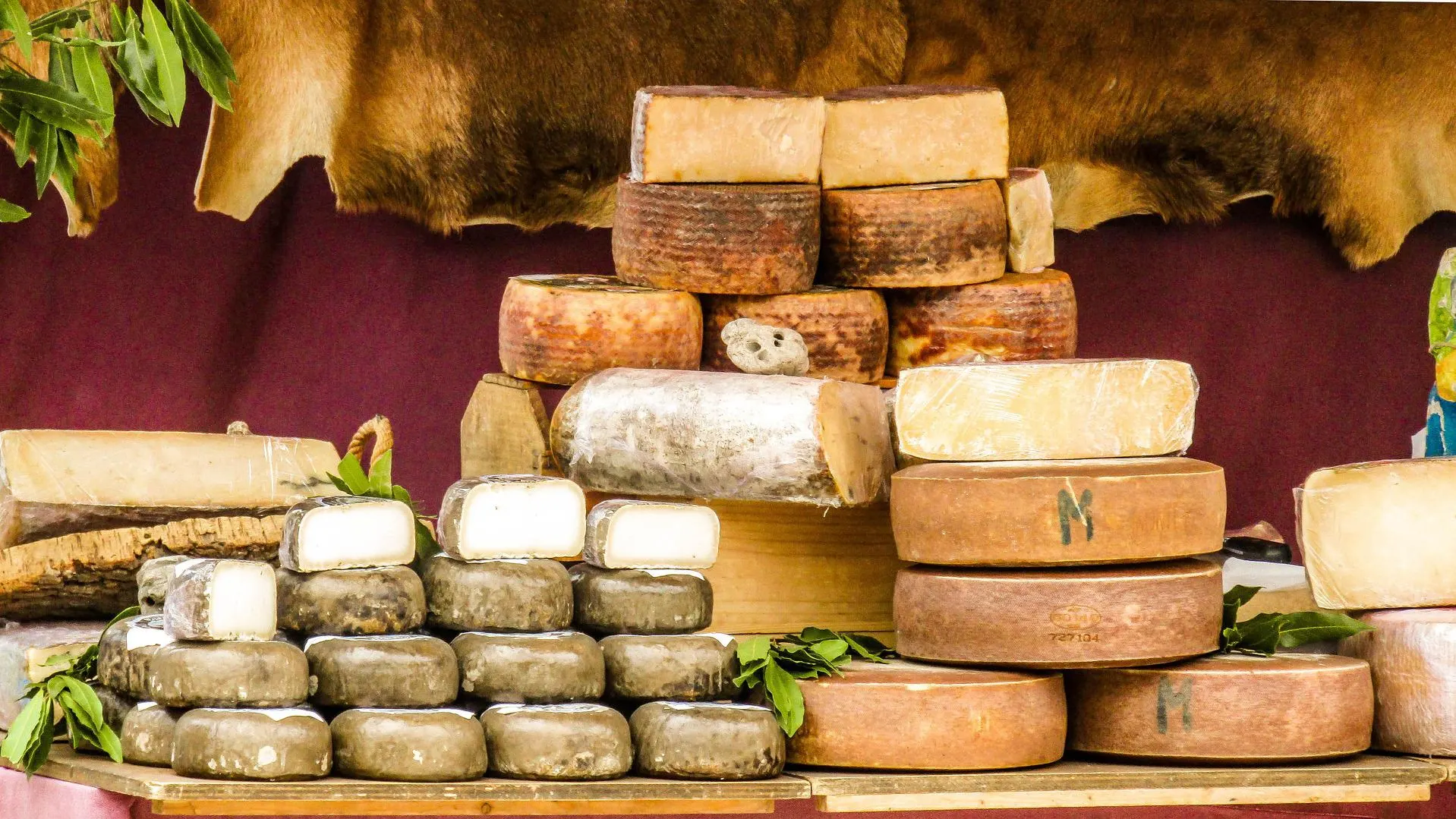 Variedad de quesos españoles Variedad de quesos españoles