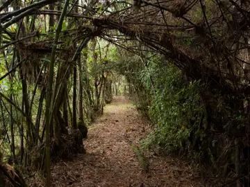 El Chocó Andino, un destino para quienes practican el ecoturismo