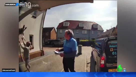 Salva a un perro que se tira por la ventana Salva a un perro que se tira por la ventana