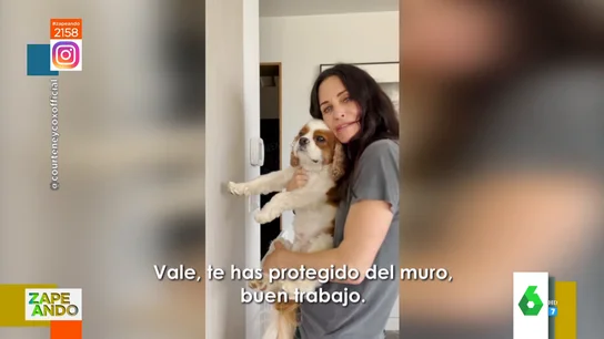 ¿Quieres saber si vuestro perro es listo o tonto? ¿Quieres saber si vuestro perro es listo o tonto?