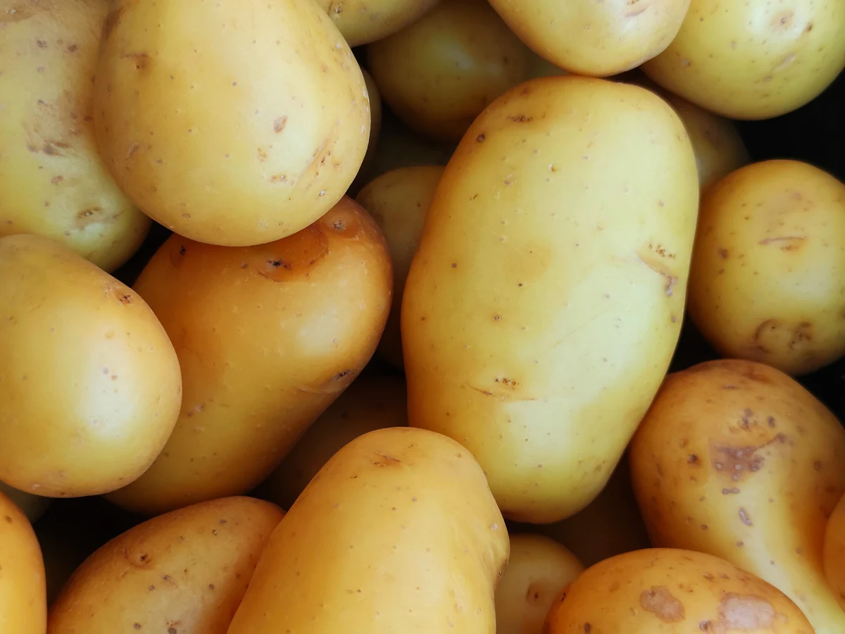 Cómo evitar que le salgan raíces a las patatas