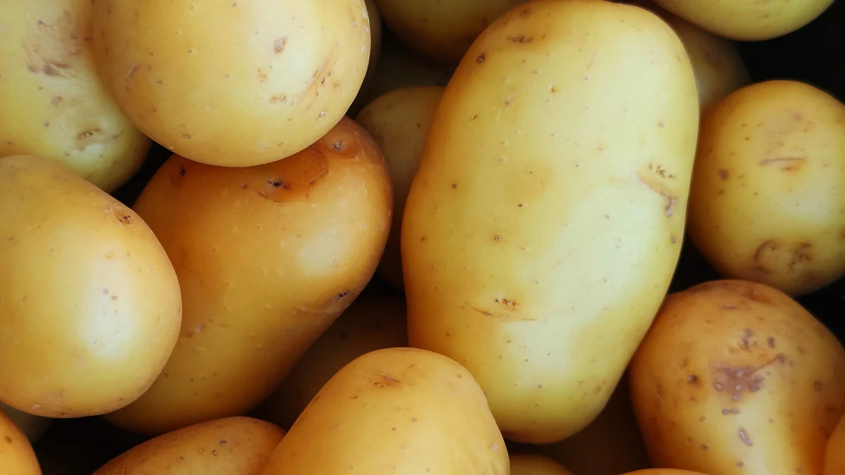 Cómo conservar las patatas y evitar que germinen? No al desperdicio