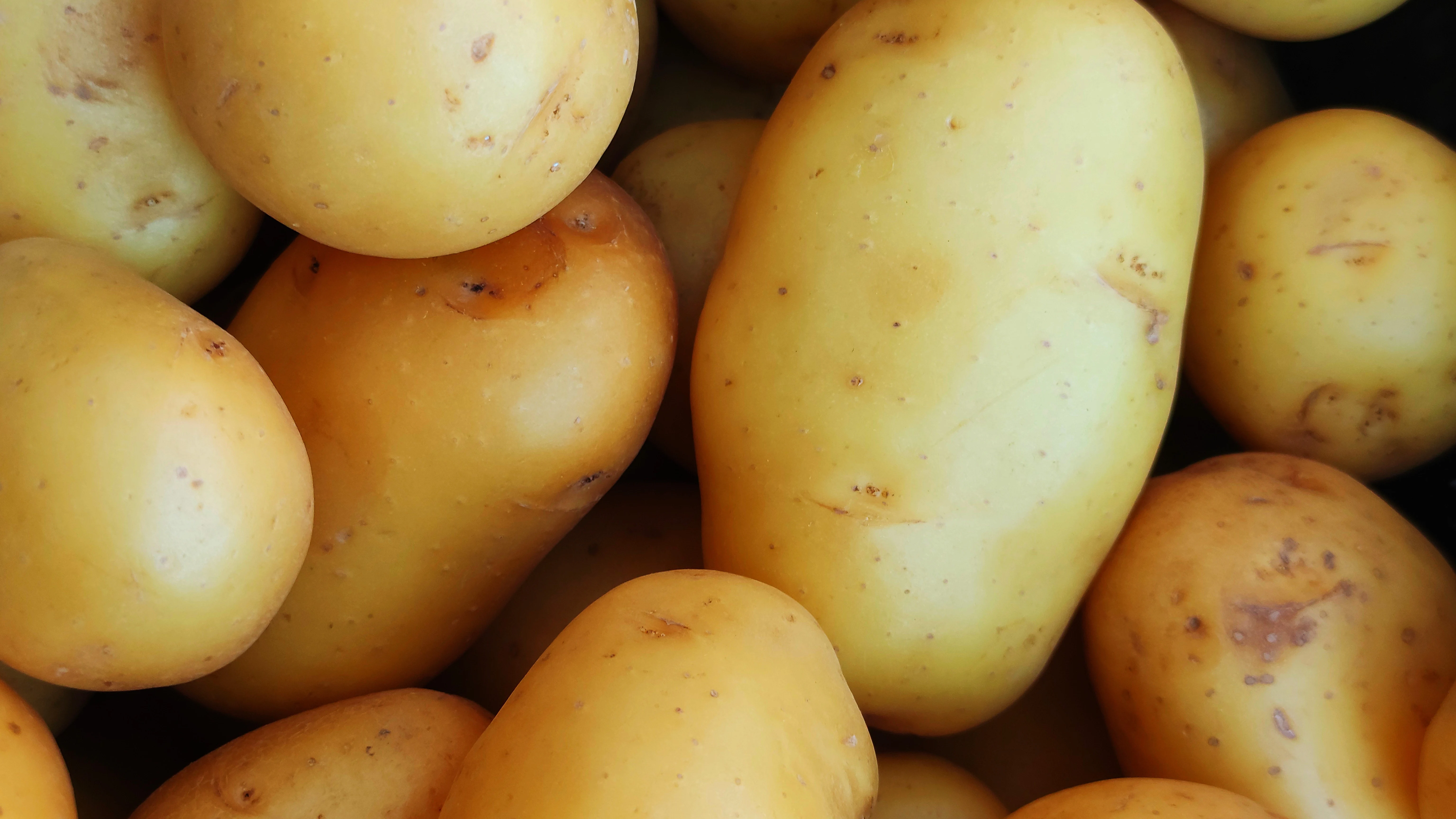 Cómo evitar que salgan raíces a las patatas