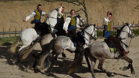 Puy de Fou