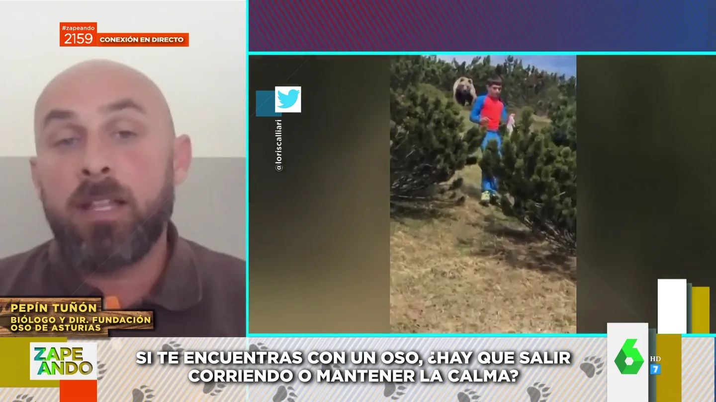 ¿Cómo hay que actuar si te encuentras con un oso? ¿Cómo hay que actuar si te encuentras con un oso?