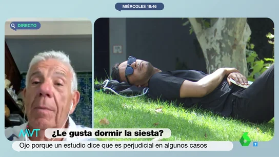 siestas siestas